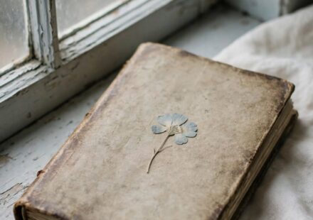 A closed journal with a pressed flower on a windowsill in soft light, representing a planned future set down in grief.