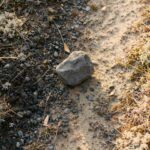 A stone being set down beside a quiet path, representing the ongoing, repeated choice to release a genuine wrong.